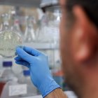 Investigadores descubren una posible nueva variante de la covid-19 en Bélgica.