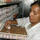 El Instituto Nacional de Higiene tenía a su cargo la producción de vacunas para distintas enfermedades.