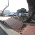 Este es el estado de los parterres de Sauces.