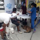 Hecho. Llegaron de al menos seis recintos de Daule con sus mascotas.