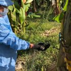 Colombia puso en cuarentena varias fincas en 2019