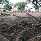 El parque Amazonas, que lleva el mismo nombre de la ciudadela ubicada en el sur de la urbe, está lleno de ramas secas de árboles que han sido podados por los mismos moradores.