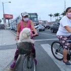 Distracción. Ya sea a pie o en bicicletas, los canes van con sus dueños.
