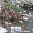 Especie. Una garza en medio de la basura en el estero Mogollón, parece que ve con tristeza lo contaminado que está su entorno.