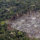 Solo en 2016 y 2017 hubo cifras superiores a la registrada el año pasado, donde a pesar de la pandemia de la covid-19 la deforestación de los bosques amazónicos se ha recrudecido.
