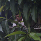 Referencial amazonía.