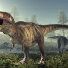 Los investigadores consideraron que la edad promedio de un ejemplar de este animal cuando alcanzaba la madurez sexual era de 15,5 años, con un período de vida de entre 25 y 30 años.