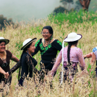 Imagen perteneciente a la muestra Mujeres Rurales.