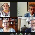 El pleno del Consejo Nacional Electoral sesionó hoy de manera virtual.