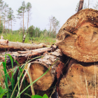 La balsa se ha convertido en el nuevo oro en disputa.