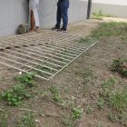 Los delincuentes sacaron la reja para ingresar al plantel.