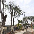 Hecho. La semana anterior se registró la poda mal realizada en uno de los parques de la ciudadela Guayacanes. Cinco polluelos fueron rescatados.