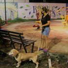 El Cabildo no precisa si mide los beneficios del arte urbano en la comunidad. Los lienzos requieren de obras complementarias para generar inclusión y seguridad