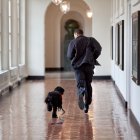 El expresidente de Estados Unidos dedicó un mensaje a "Bo", tras su partida.