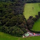 Una vista aérea del bosque