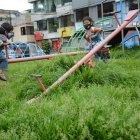 En parque del sur de Quito se encuentran descuidados los vecinos han optado por pagar a personas particulares para que corten la hierba y a mas de esto los juegos estan en mal estado.