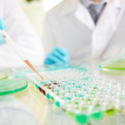 El freno a la producción de proteínas reduciría la réplica viral del SARS-CoV-2 en células infectadas.