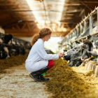 El país suramericano es el quinto productor y el cuarto exportador mundial de carne vacuna.