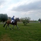 Wettstein es suizo, pero casado con una ecuatoriana. Ya fue a Río 2016.