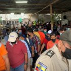 En una gallera ubicada en Nueva Prosperina encontraron a 80 personas que no cumplían con las medidas de bioseguridad.