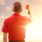 La FEF en colaboración con las otras partes integrantes del proyecto, diseñará un plan estratégico para el desarrollo sostenible del arbitraje.