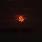 El eclipse total, el primero desde enero de 2019.