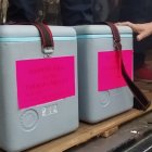 La vacunación es prioridad en el nuevo Gobierno y en la gestión del MSP.