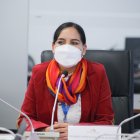 La legisladora fue elegida presidenta de la Comisión de Régimen Económico.