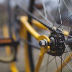 Familiares del fallecido no podían contener el dolor ante la tragedia.