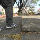 Ubicación. Así luce el parterre central de la Rodolfo Baquerizo, cerca de la calle Benjamín Carrión.