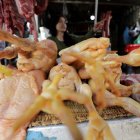 Las autoridades sanitarias chinas anunciaron hoy la detección del primer caso mundial de gripe aviar H10N3 en humanos.