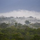 La región amazónica de Ecuador, que ocupa sus seis provincias orientales, y del noreste de Perú conforman un biocorredor megadiverso, donde viven unos 600.000 habitantes y existen, al menos, 30 pueblos y nacionalidades indígenas.