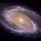 Ejemplo de galaxia espiral cercana M81, donde se identifica fácilmente el bulbo, la parte central más rojiza, y el disco, plagado de zonas donde se forman estrellas actualmente y aparecen como regiones azules formando brazos espirales.