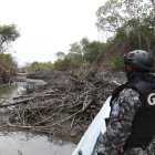 Referencial. Uno de los artículos demandados tiene relación a las actividades permitidas en el manglar.