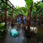 En El Oro está el 41% de los productores de banano, pero la ayuda en el  lugar llega a cuentagotas.