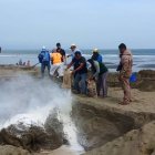 El varamiento que a  menudo es el resultado de una enfermedad o lesión, son denominados procesos ecológicos naturales.