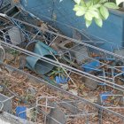 Bancas viejas arrumadas, hojas secas, césped alto y desechos: ese es el panorama del colegio Provincia de Chimborazo, ubicado en el sur de la ciudad.

Agencia (ag-extra)