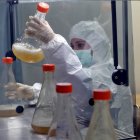 En la imagen un trabajador en un laboratorio continúa con la elaboración de los candidatos vacunales cubanos en La Habana (Cuba).