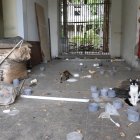 Alerta. Algunos edificios patrimoniales de la ciudad están en desuso.