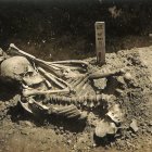 Fotografía original del individuo 24 encontrado en el yacimiento de Tsukumo. EFE/Laboratorio de Antropología Física de la Universidad de Kioto.