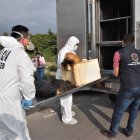 Más del 34 % de los agresores son convivientes de las víctimas de femicidio, seguido de cerca de un 18 % de cónyuges.