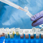 El sumo pontífice calificó a la ciencia como un recurso para construir paz.