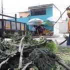 En una intervención pasada, el Cabildo atendió el problema.