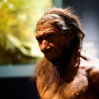 Referencial. La investigación, liderada por Dirk Leder del Servicio Estatal de Patrimonio Cultural de Baja Sajonia (Alemania), se suma a la creciente evidencia de que esta especie tenía un sofisticado comportamiento simbólico.