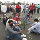 Agricultores llevan una mata de arroz de transplante como señal de protesta por la caída de los precios del grano.