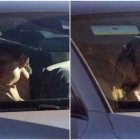 Las muestras de cariño entre Tom Holland y Zendaya.