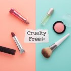 Existe una gran variedad de maquillaje y productos de belleza libre de crueldad animal.