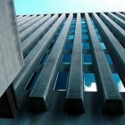 Con respecto al proceso de inoculación, Jaramillo resaltó que existe un monto asegurado por parte del BM de 170 millones de dólares.