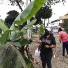 Acción. En la imagen aparecen algunos de los primeros moradores que han adoptado árboles y los lavan con agua y jabón.