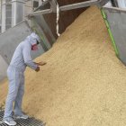 El problema es el exceso de producción.